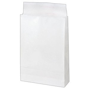 Paper Bags/Envelopes