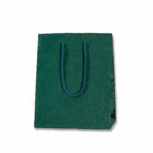 ヘイコー 手提げ 紙袋 カラーチャームバッグ グリーン 緑 10枚