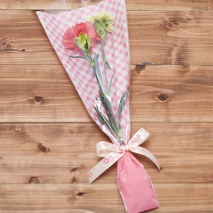 Flower-Use Plastic Bags Design M