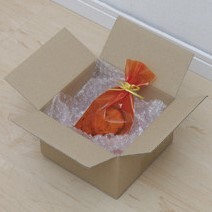 Packaging Box Dumbo