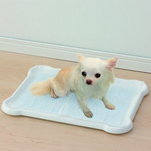 Dog/Cat Toilet/Potty Tray Pet items