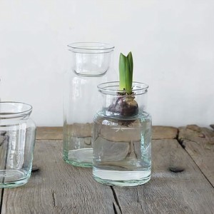 （高さ19cm・14cm）リューズガラス　バルブボトル　トレイ取り外し可能／球根・水耕栽培 水栽培
