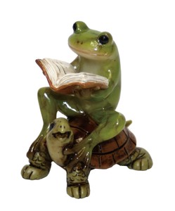 亀乗り　読書　蛙