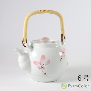 Hasami ware Japanese Teapot Earthenware 6-go Made in Japan