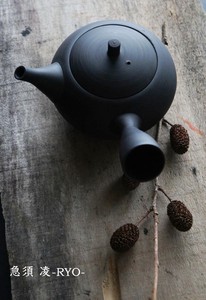 SALIU Tokoname ware Japanese Teapot Pottery Tea Pot Made in Japan