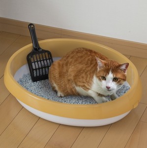 【アイリスオーヤマ　ペット用品・ペットフード　トイレ】　ネコのトイレ