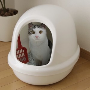【アイリスオーヤマ　ペット用品・ペットフード　トイレ】　ネコのトイレフルカバー