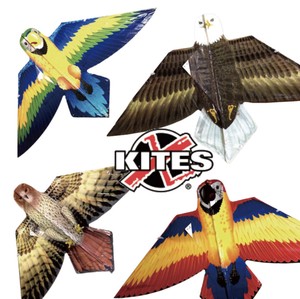 Kite Series Feather 4-types