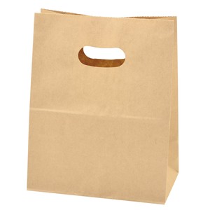 General Carrier Paper Bag