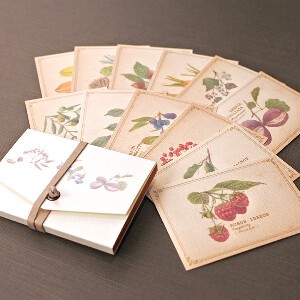 Greeting Card with Case Message Card