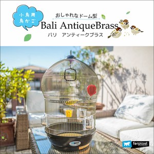 小鳥用鳥かご　バリ　アンティークブラス〜Bali AntiqueBrass〜