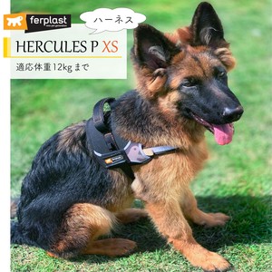 犬用ハーネス　HERCULES P 〜ヘラクレス〜胴輪 XS