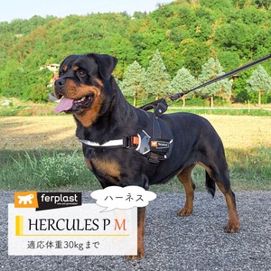 犬用ハーネス　HERCULES P 〜ヘラクレス〜胴輪 M