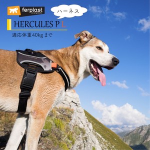 犬用ハーネス　HERCULES P 〜ヘラクレス〜胴輪 L