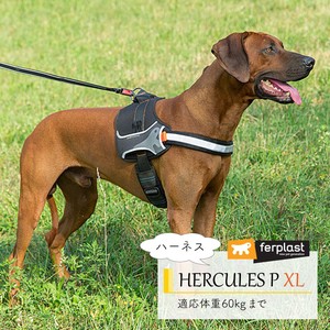 犬用ハーネス　HERCULES P 〜ヘラクレス〜胴輪 XL