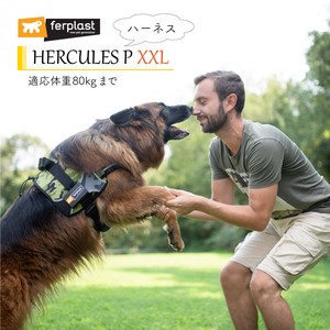 犬用ハーネス　HERCULES P 〜ヘラクレス〜胴輪 XXL