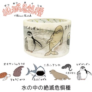 SEAL-DO Washi Tape Washi Tape M Made in Japan