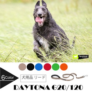 犬用 散歩リード　デイトナ DAYTONA G20/120