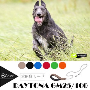 犬用 チェーン　散歩リード　デイトナ DAYTONA GM25/100  メタル
