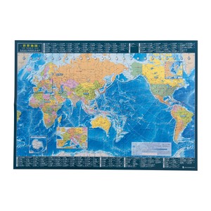 Globe/Map World Map