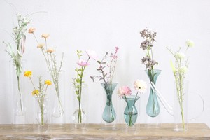 Flower Vase Clear Vases