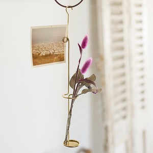 Store Fixture Small Item Displays Dry flower