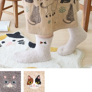 Socks Cat Socks