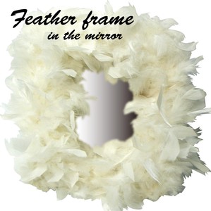Art Frame Frame Feather