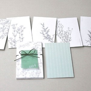 Greeting Card with Case Message Card