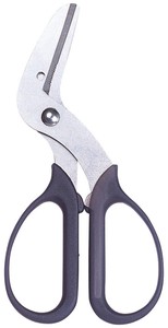 Scissor Made in Japan