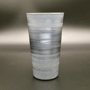 Beer Glass Silver Arita ware Made in Japan