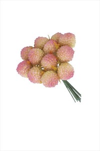 野イチゴ　ライムピンク　1袋（12本入り）