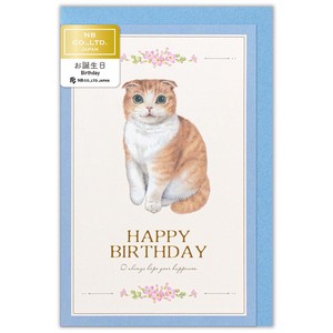 カード　Minou　誕生日　フィル【日本製】