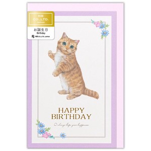 カード　Minou　誕生日　ミミ【日本製】