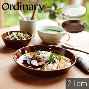 美濃焼 日本製 TAMAKI オーディナリー プレート21 お皿 おしゃれ 食器 陶器 北欧 食器
