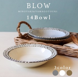 Mino ware Donburi Bowl bowl Fruits Western Tableware