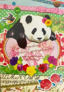 ■ポストカード■ パンダ "とっておきの贈り物”