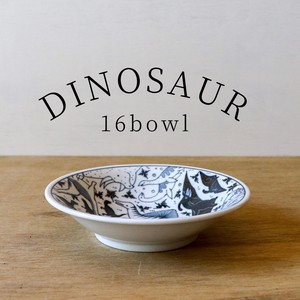 Mino ware Donburi Bowl Fruits Made in Japan