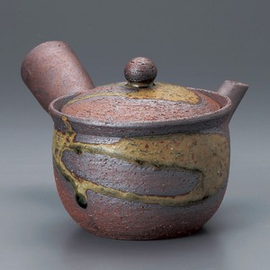 Shigaraki ware Japanese Teapot