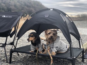 5050 WORKSHOP Pet Animal Tent