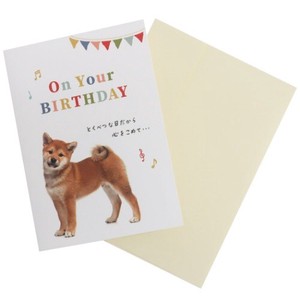 Greeting Card Shiba Dog
