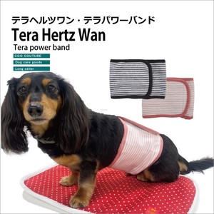 Dog Clothes M 4-colors Made in Japan