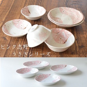 Mino ware Main Plate Series Pink Made in Japan