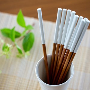 预购 筷子 洗碗机对应 5双 日本制造