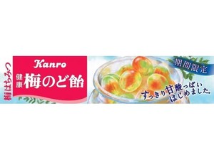 カンロ 100 健康梅のど飴 スティック 11粒 x10 【飴・グミ・ラムネ】