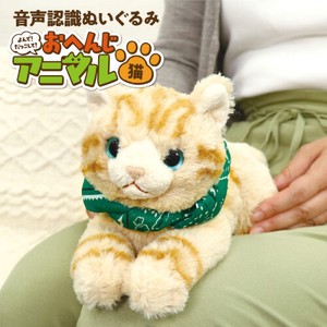 Nursing-care Item Animals Cat Made in Japan
