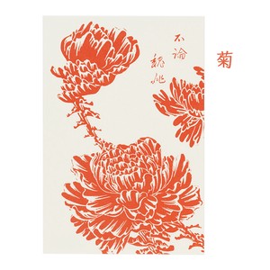 Postcard Chrysanthemum