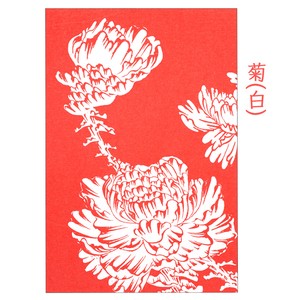 Postcard White Chrysanthemum