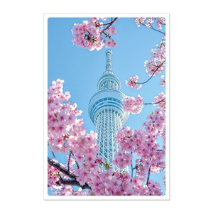 < 春ポストカード >日本の絶景ポストカード 桜