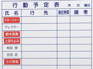 日本製 全種類 カラー マグネットシート 両面磁石付 Double-side Magnetsheet「2024新作」